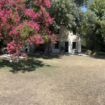 Alpilles Camargue Mas Falabrego Raphele Exterior foto