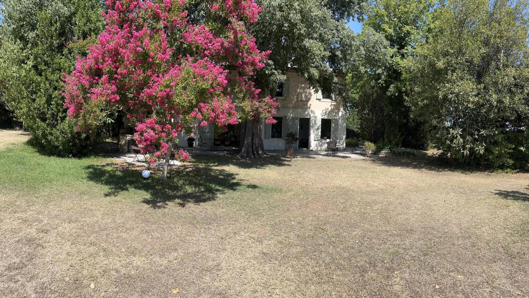 Alpilles Camargue Mas Falabrego Raphele Exterior foto